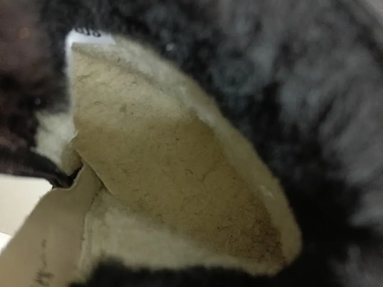 Billede 3 - Angulus vinterstøvler med uldfor str.38,5