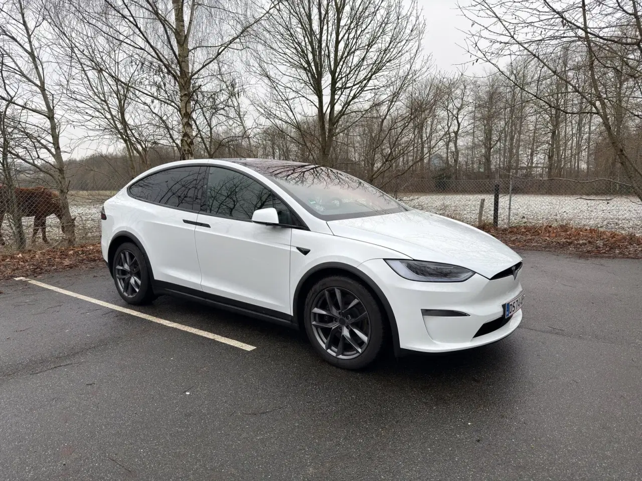 Billede 3 - Tesla Model X  Long Range AWD