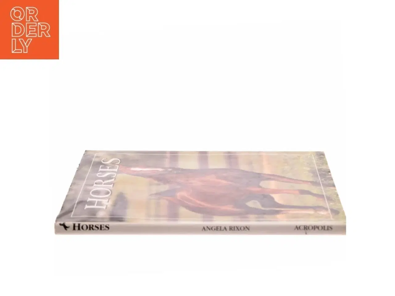 Billede 2 - World of Horses af Angela Rixon (Bog)