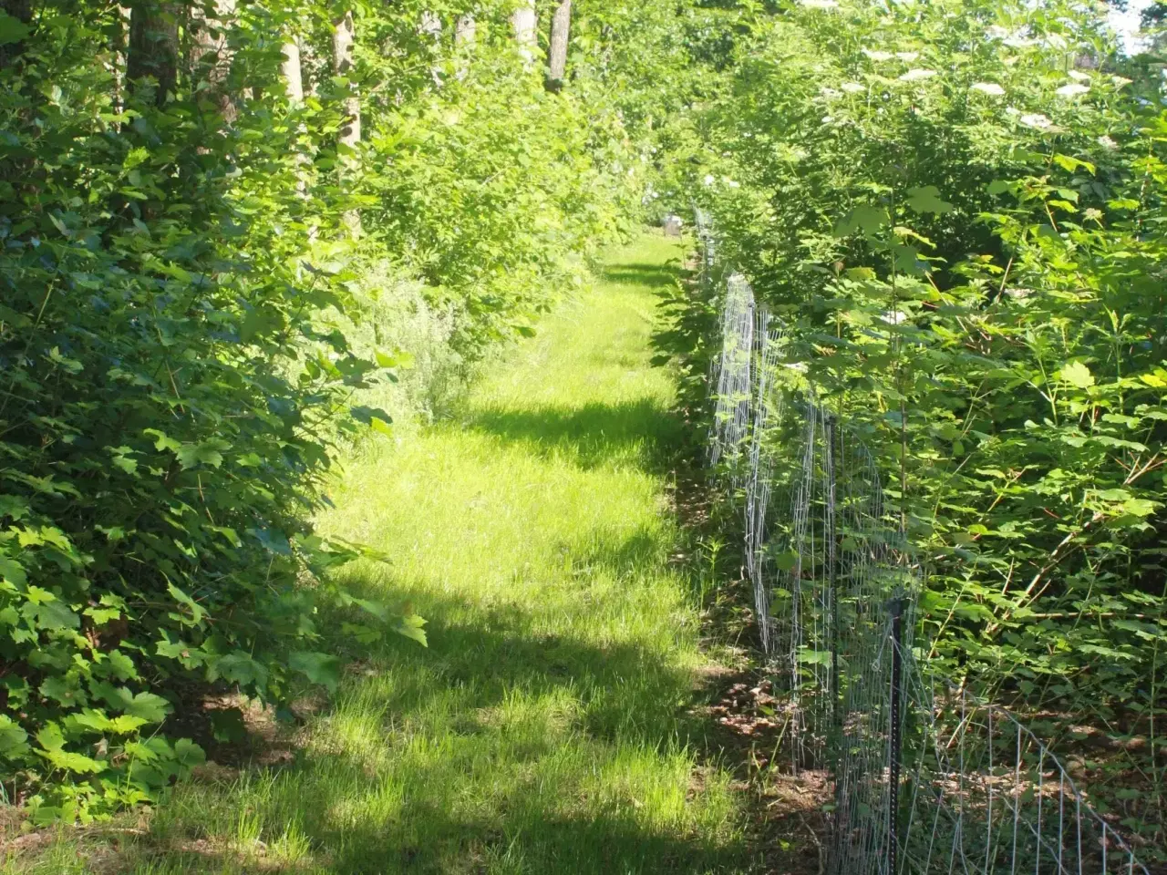 Billede 7 - Bofællesskab