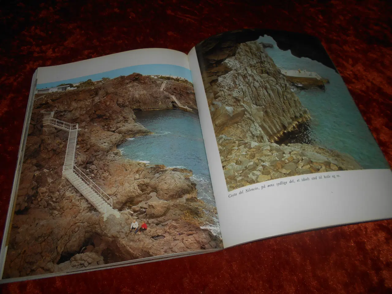 Billede 6 - Opdag Tenerife, Domingo Manfredi Cano,