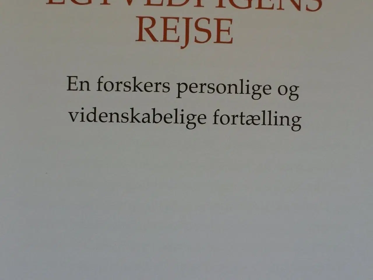 Billede 2 - egtvedpigens rejse, af karin margarita frei, emne: