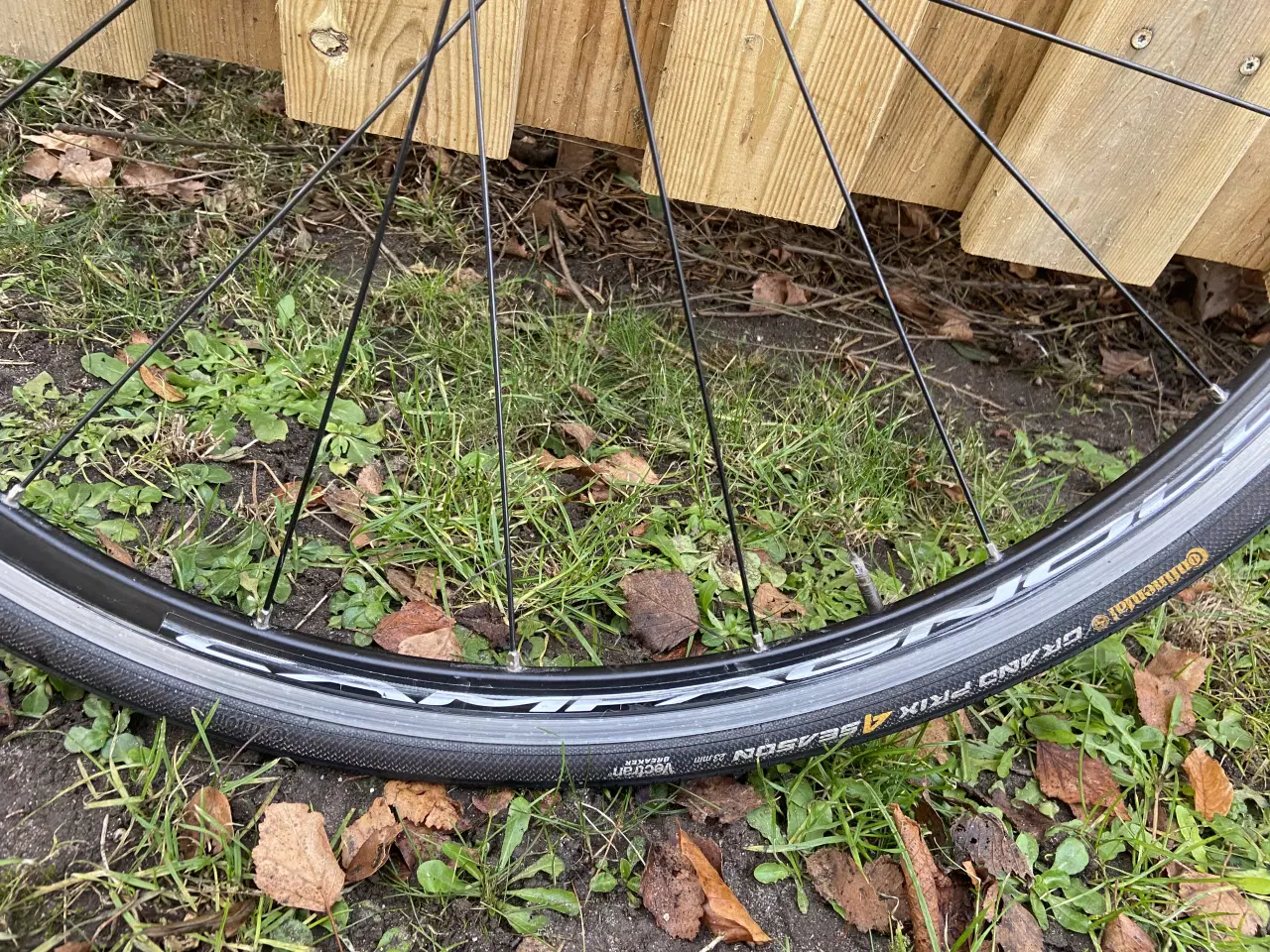 Billede 7 - Campagnolo baghjul med Continental dæk