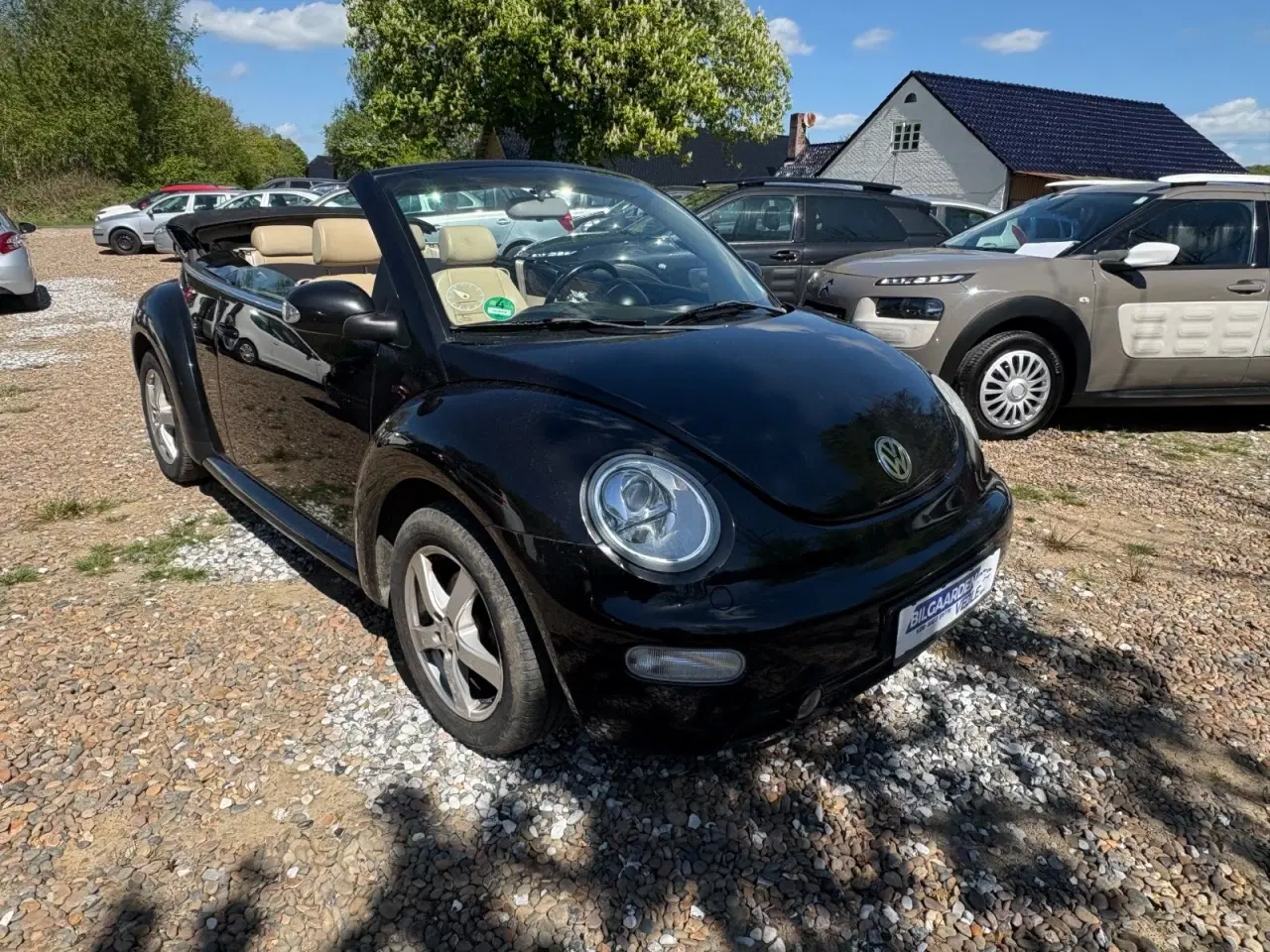 Billede 7 - VW New Beetle 1,9 TDi 100 Cabriolet