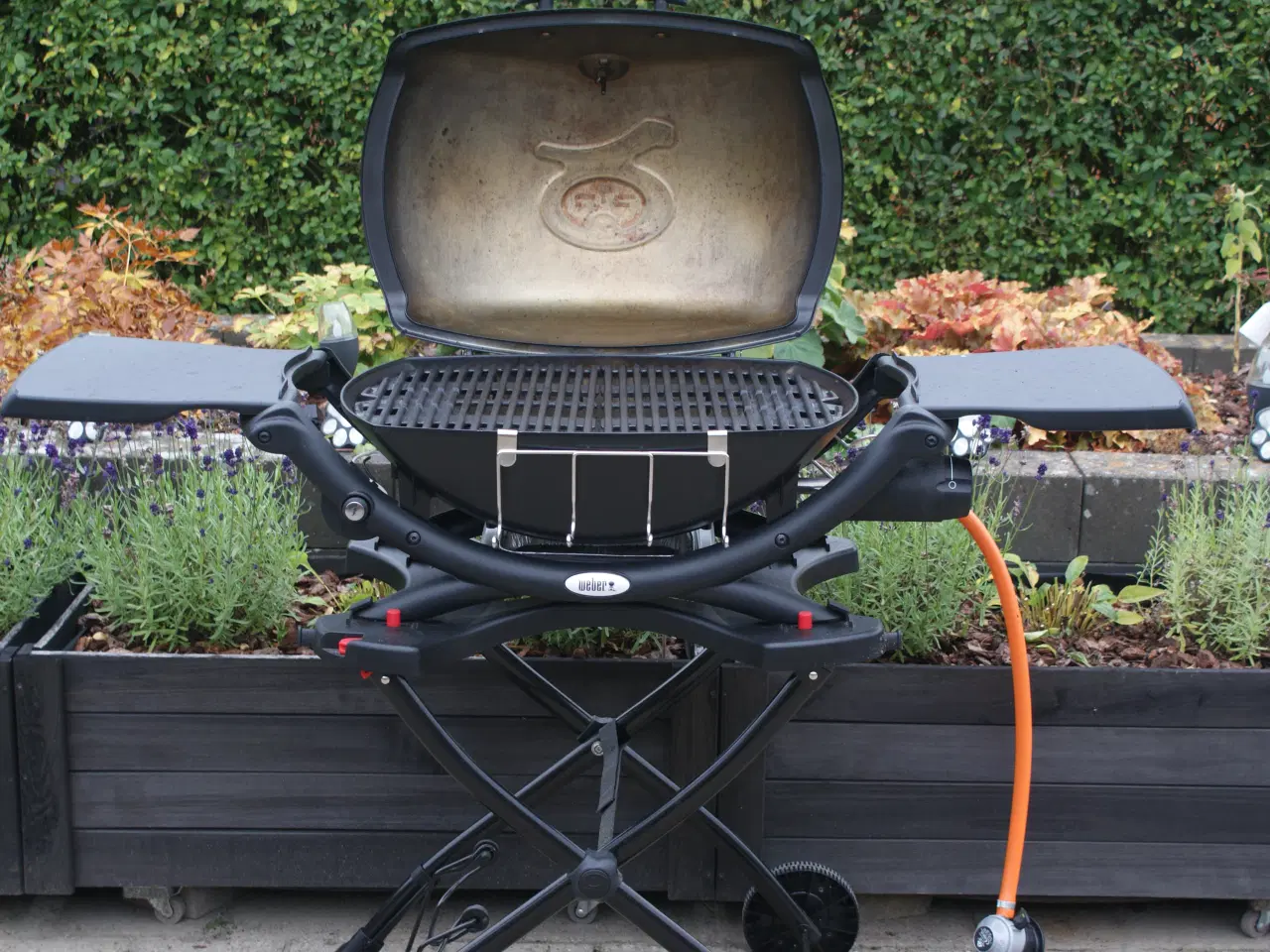 Billede 2 - Weber q2200