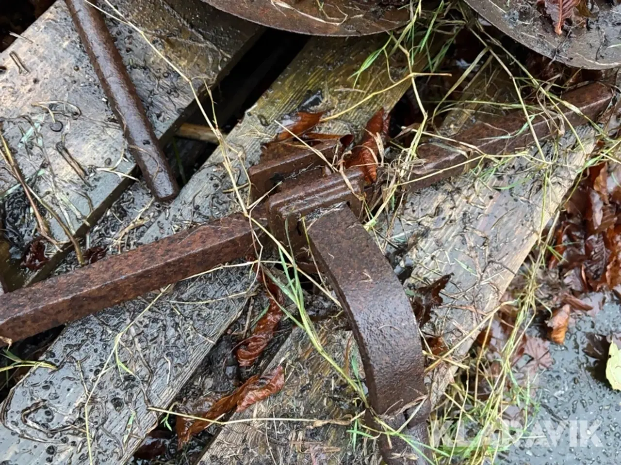 Billede 4 - Tallerkenharver