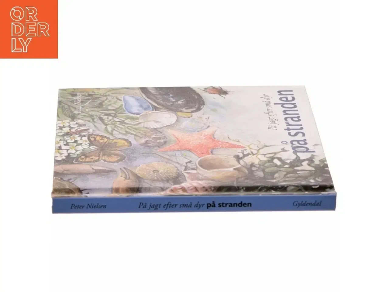 Billede 2 - På jagt efter små dyr på stranden af Peter Nielsen (f. 1946-05-08) (Bog)