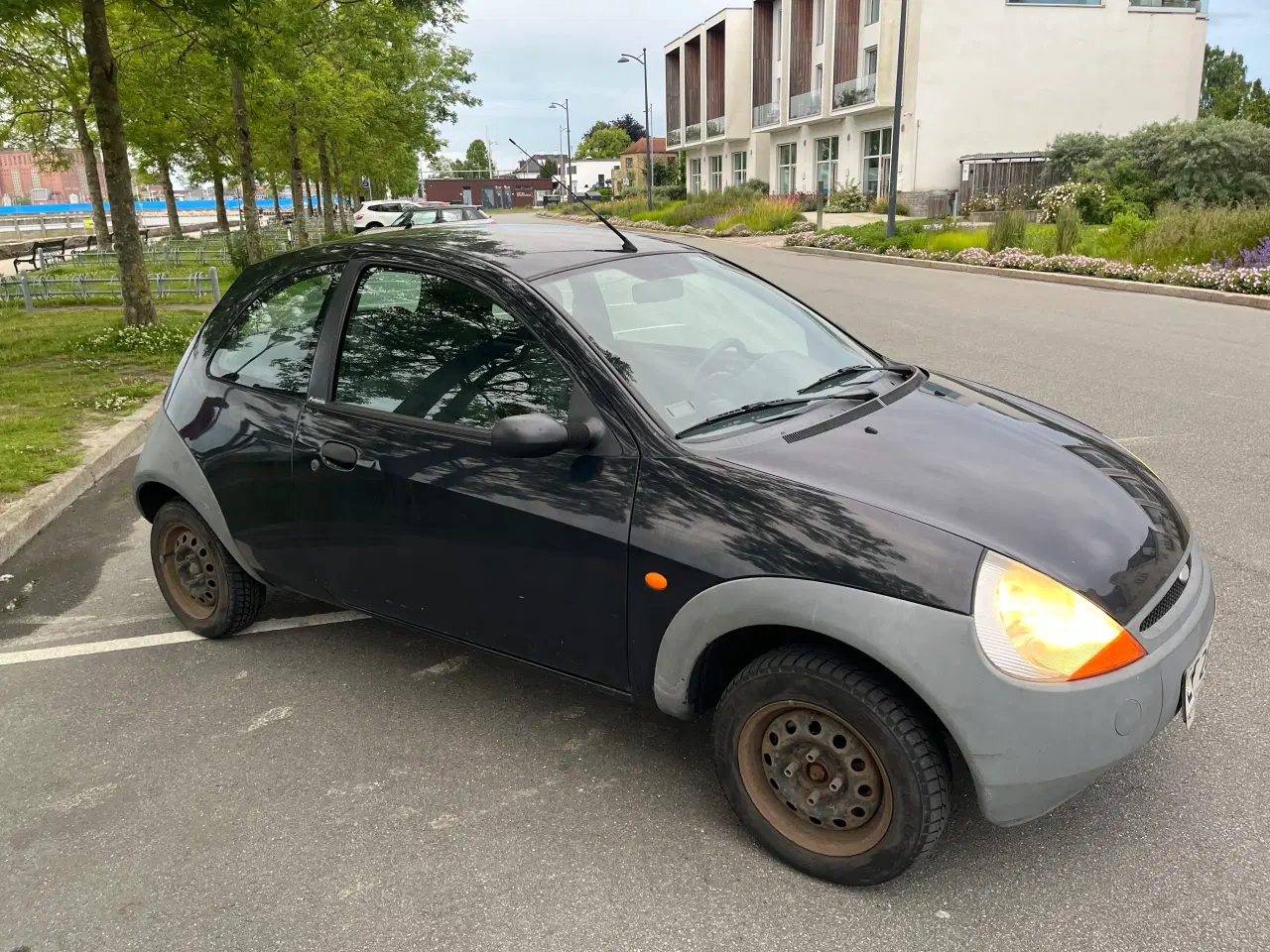 Billede 6 - Ford Ka, Limited Edition