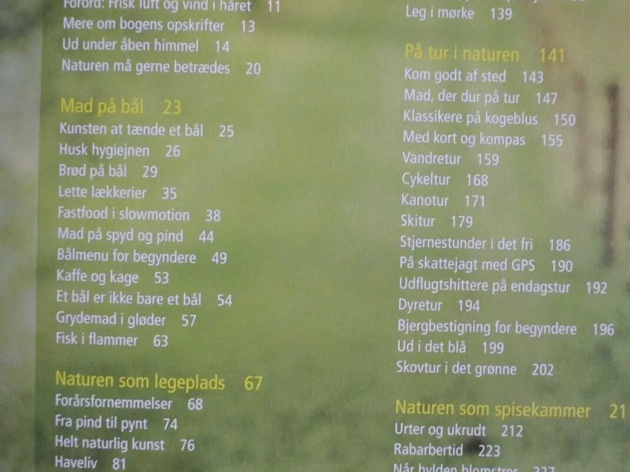 Billede 2 - unger og udeliv - mad, oplevelser og aktiviteter ,