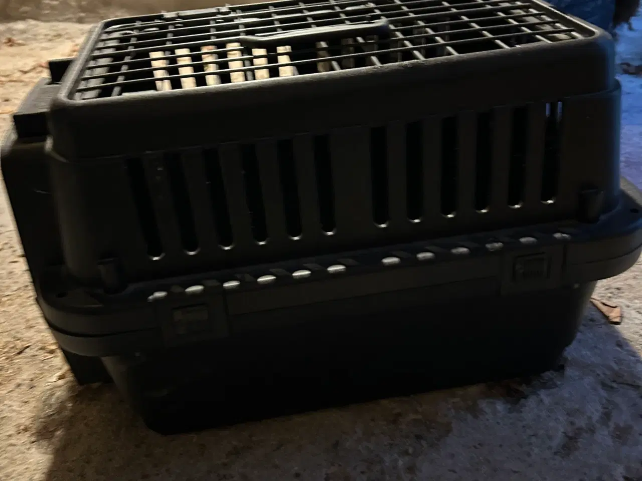 Billede 2 - Kattetransport