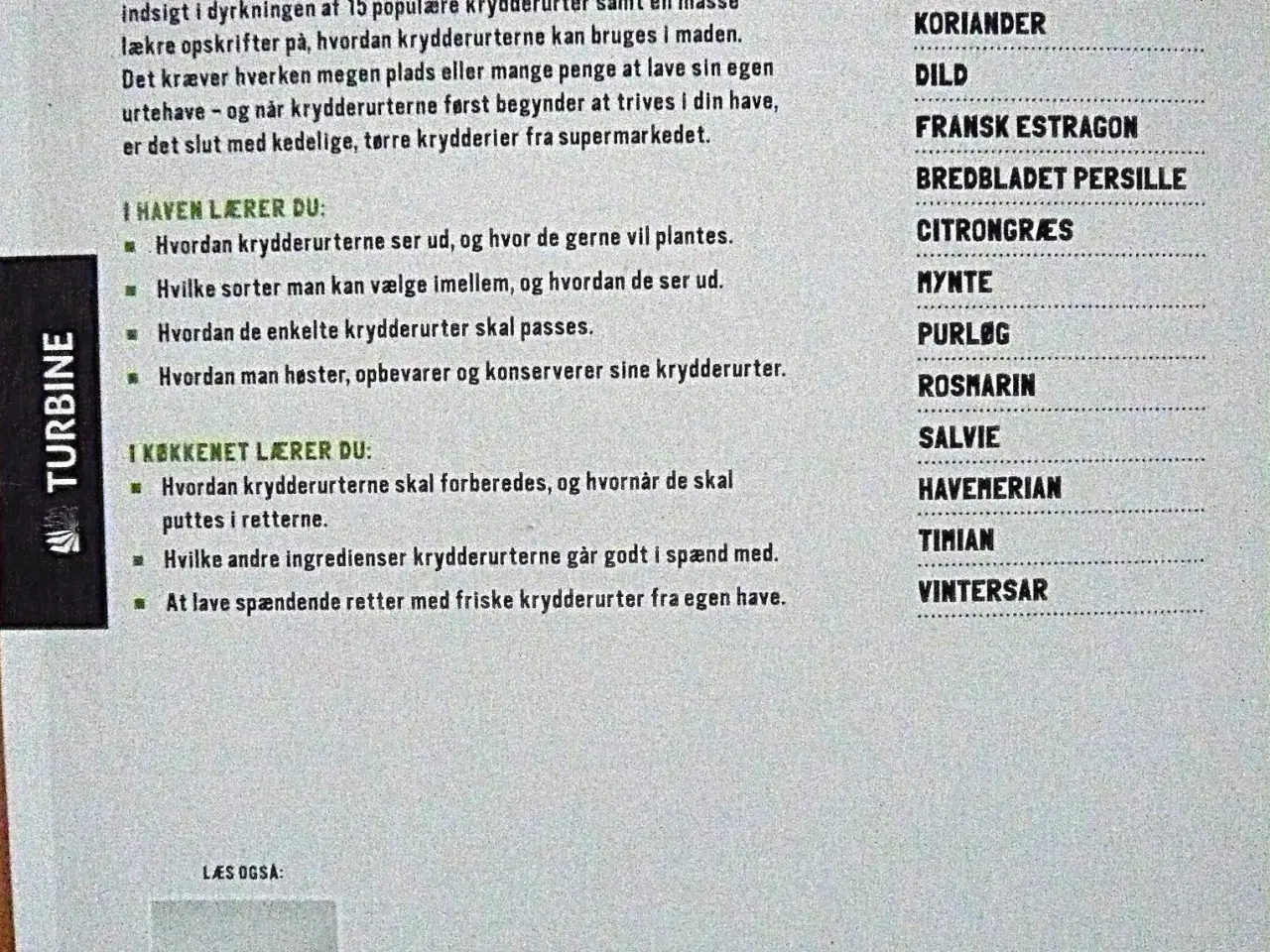 Billede 2 - Lav din egen urtehave af Lisa Baker Morgan og Ann 