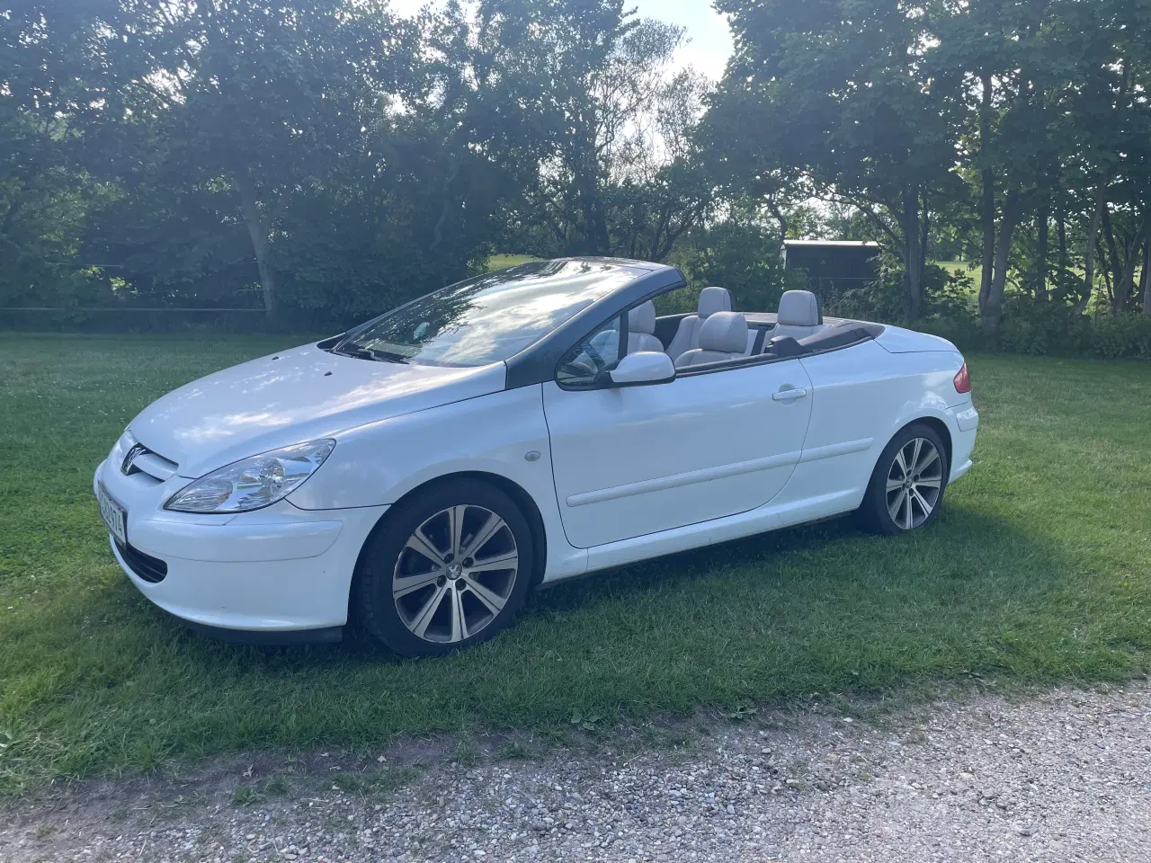 Billede 10 - Peugeot 307 CC cabriolet 
