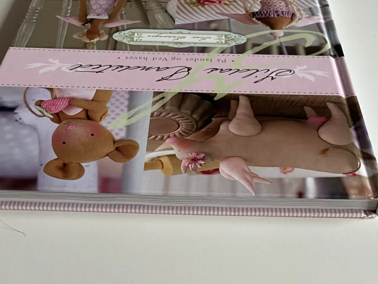 Billede 9 - Tildas landsted. Av Tone Finnanger (Norsk)