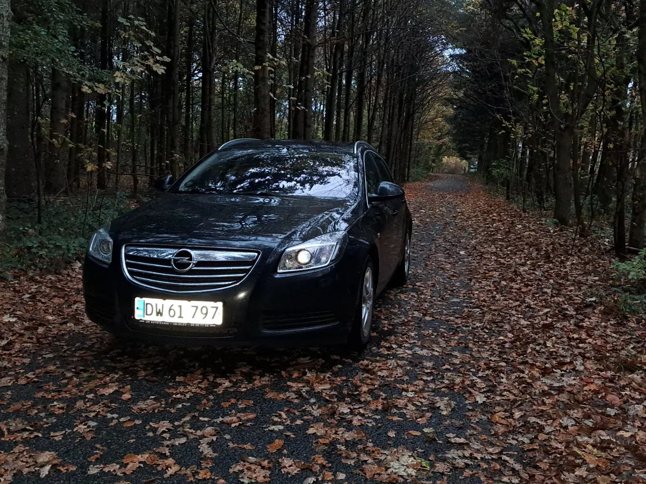 Billede 6 - Opel insignia 2011