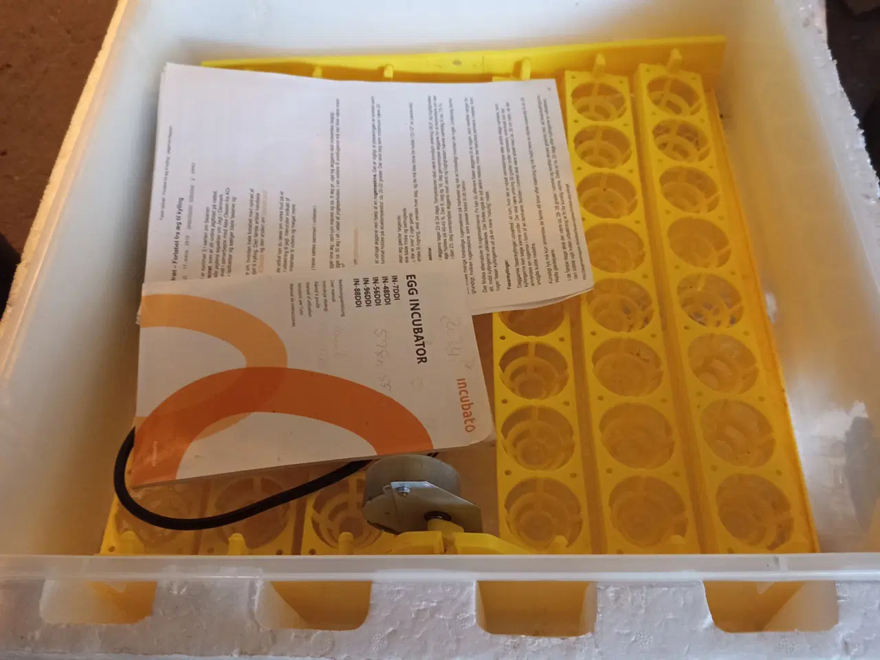 Billede 1 - Udrugning af æg