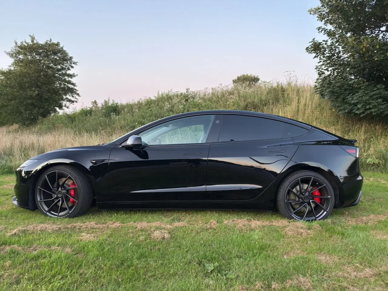 Billede 8 - Tesla Model 3  Performance AWD
