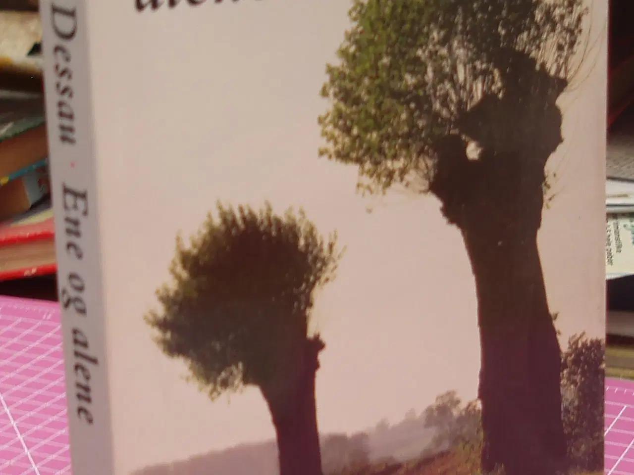 Billede 1 - Ene og alene, en bog om ensomhed