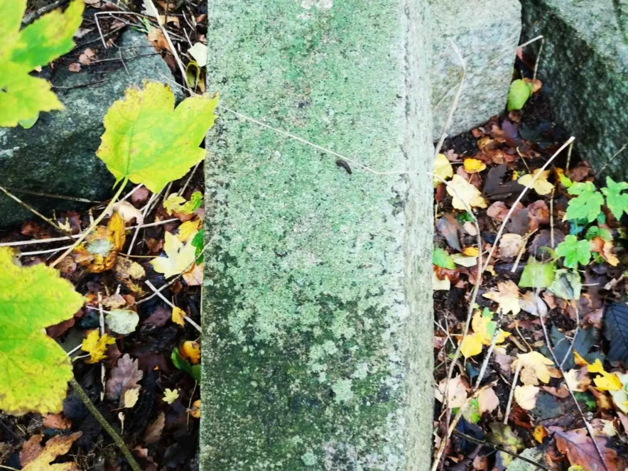 Billede 4 - Granitsten – ægte massiv granit, perfekt til have