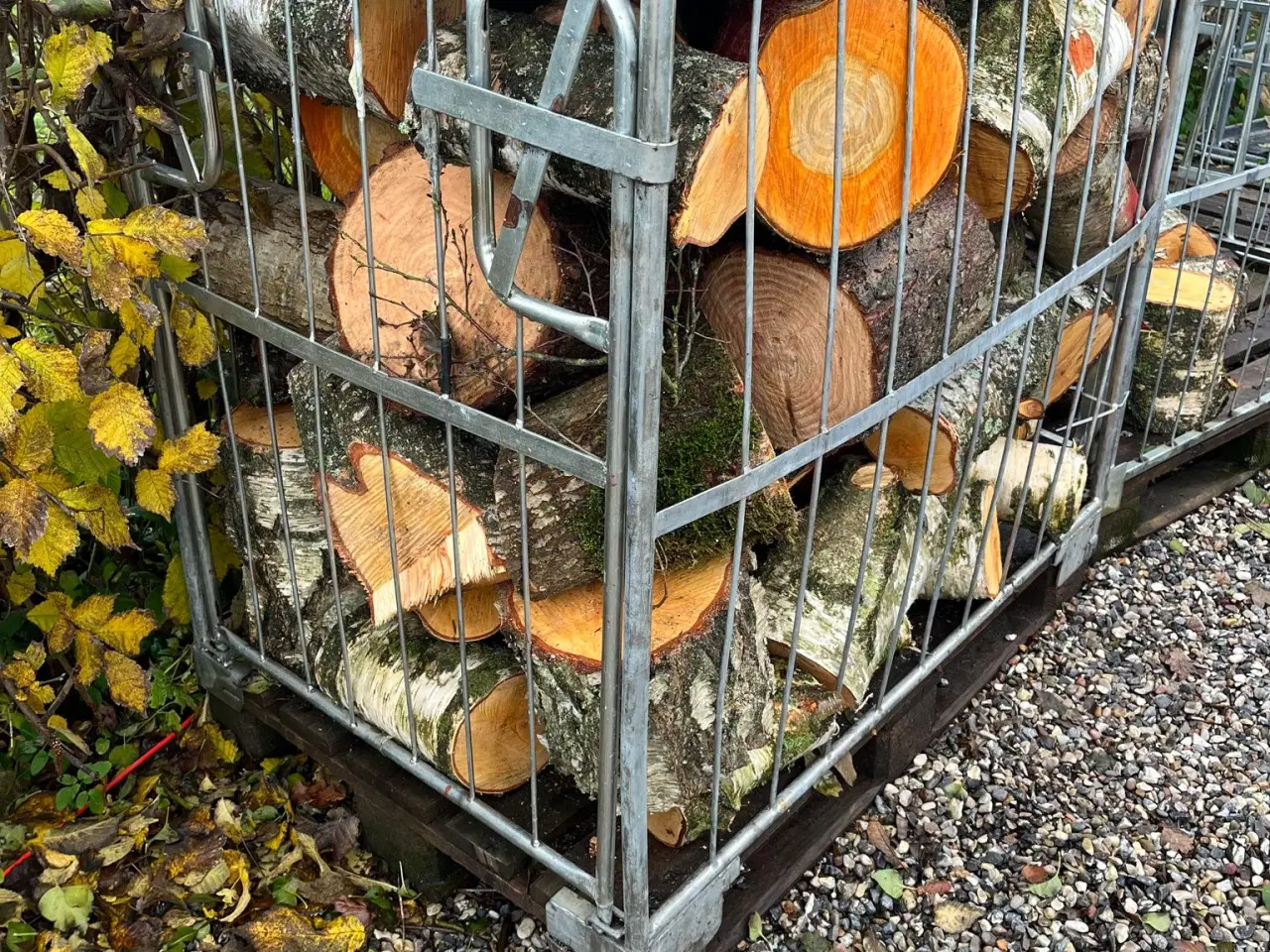 Billede 1 - Brændestammer savet op i 25 til 35 cm 