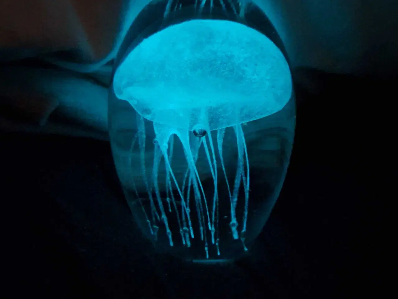 Billede 7 - Glaskunst 