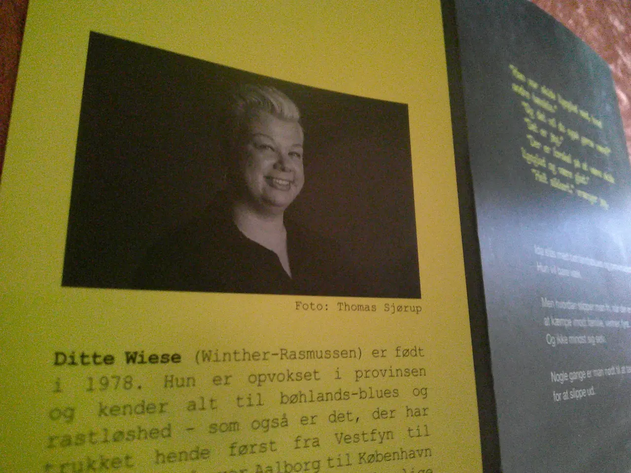 Billede 2 - Provinspis, Ditte Wiese,