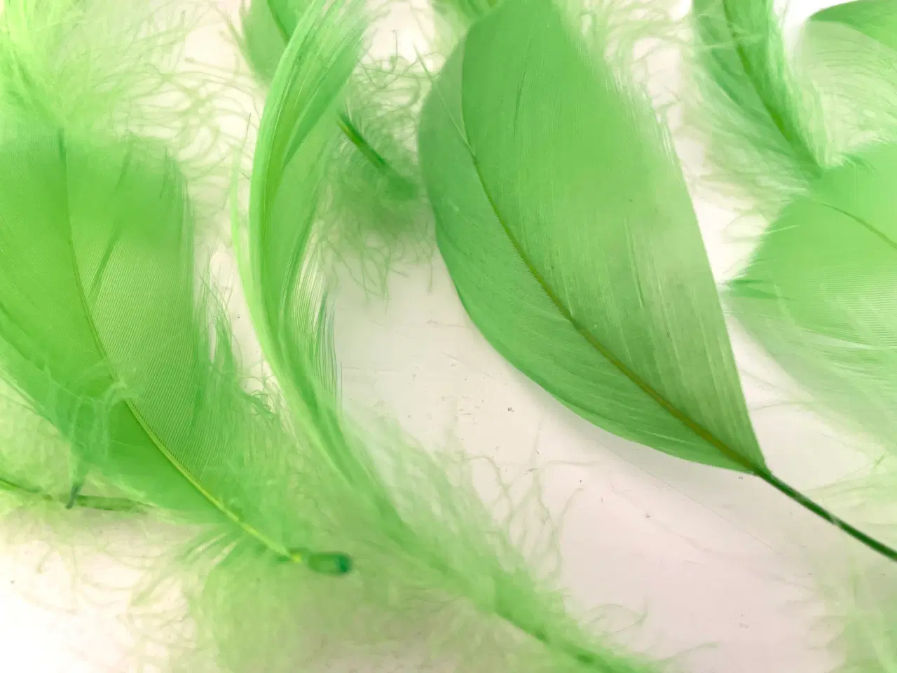 Billede 4 - Lysegrønne fjer til dekoration