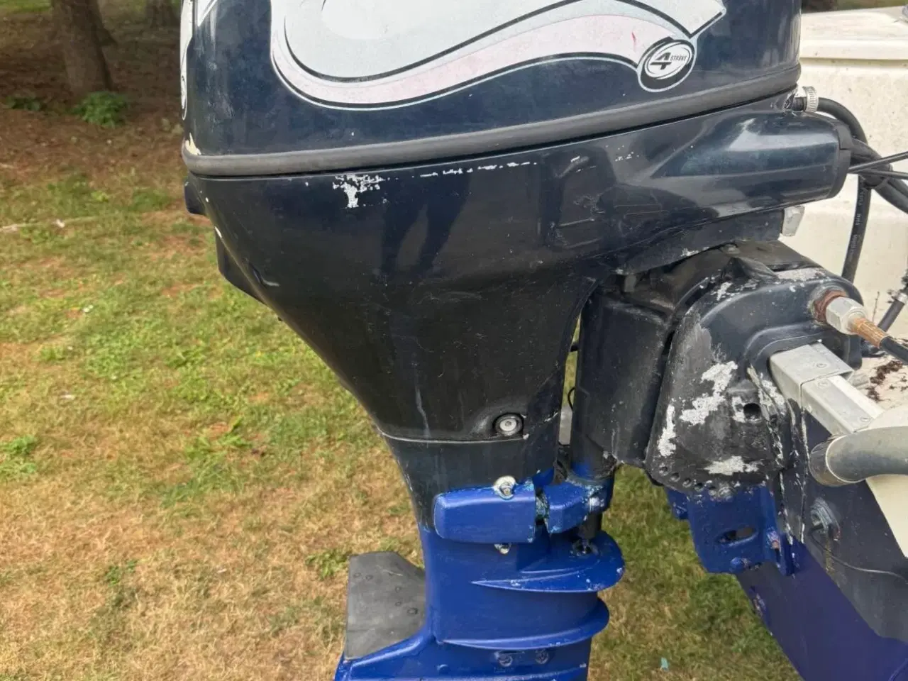 Billede 9 - Ryds 430GT, med evinrude 25 HK 4-Taks