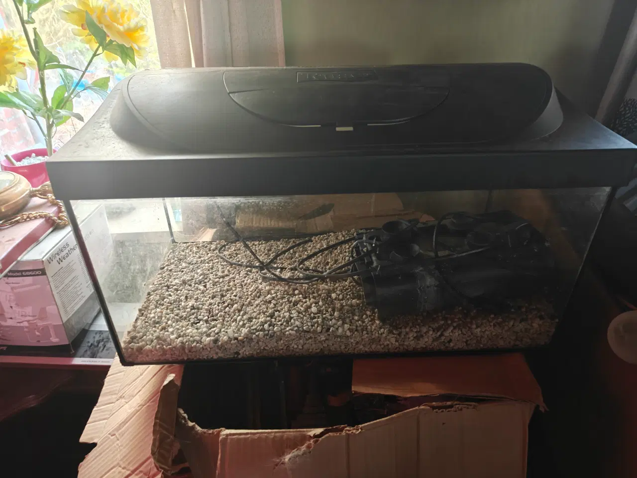 Billede 1 - Begynder akvarie