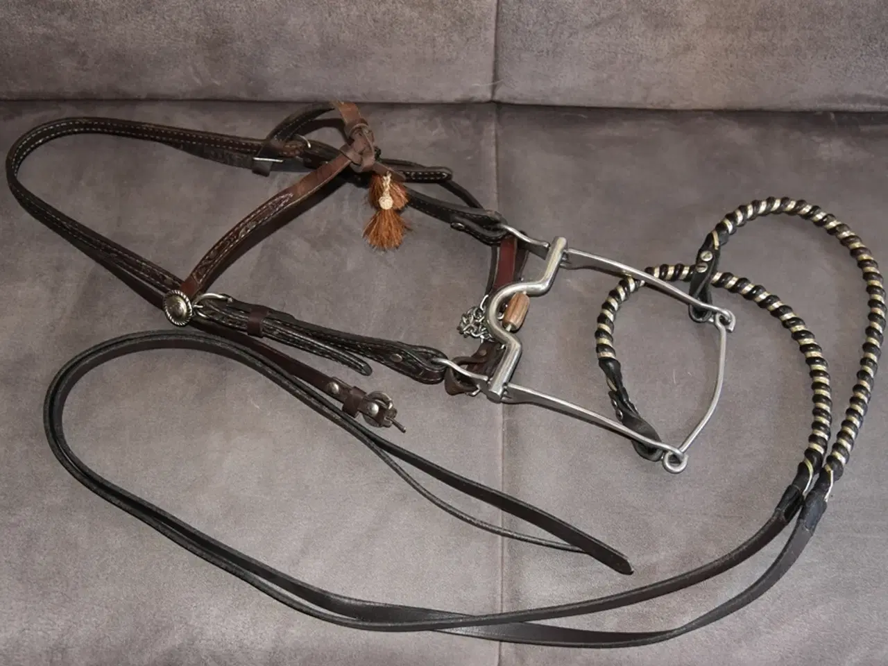 Billede 1 - Meget flot hestetrense med Half Breed bid