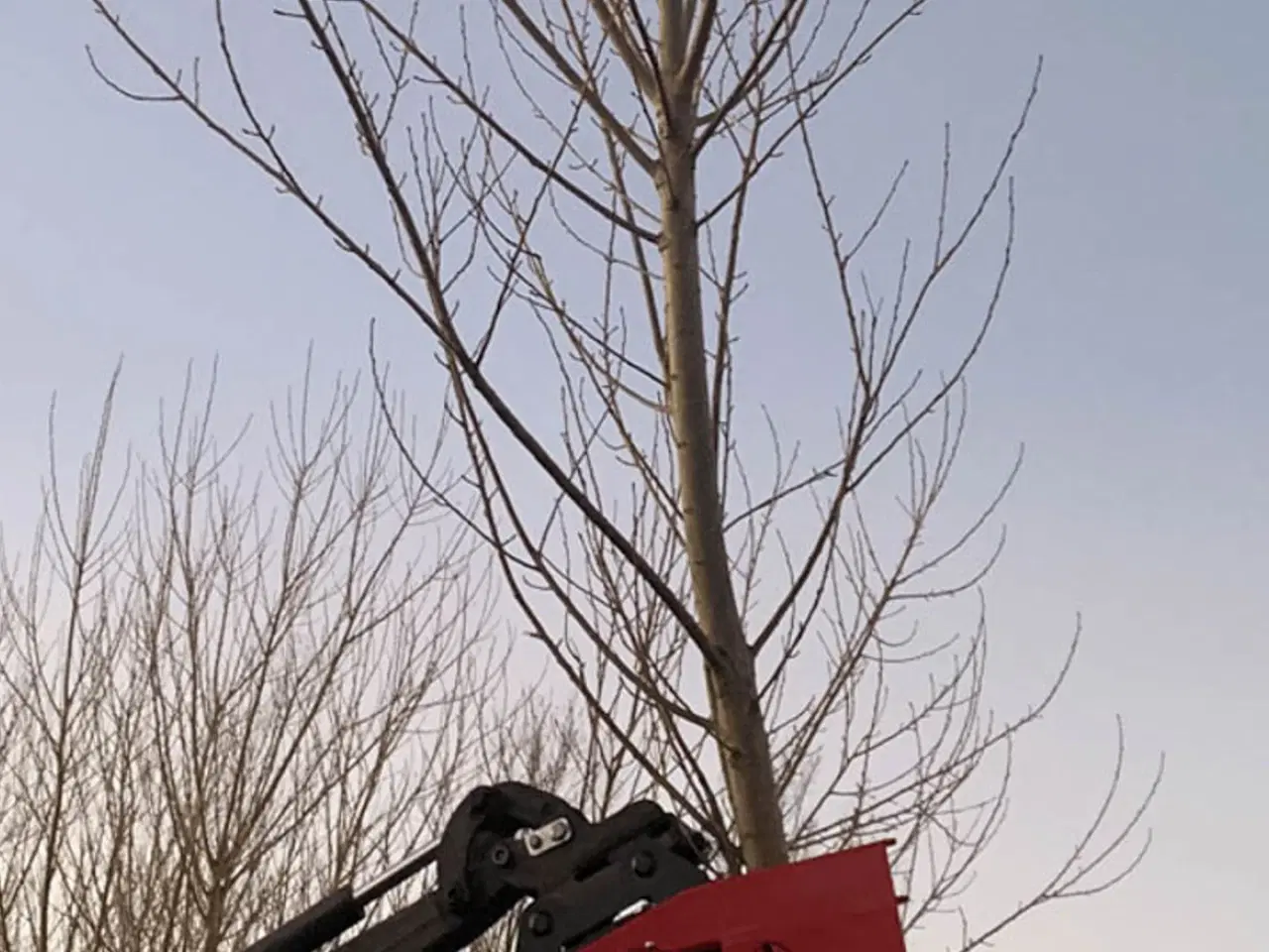 Billede 10 - Tontec Træklipper TC2