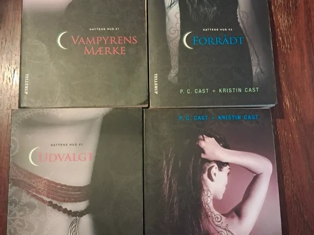 Billede 1 - Nattens Hus 1-4