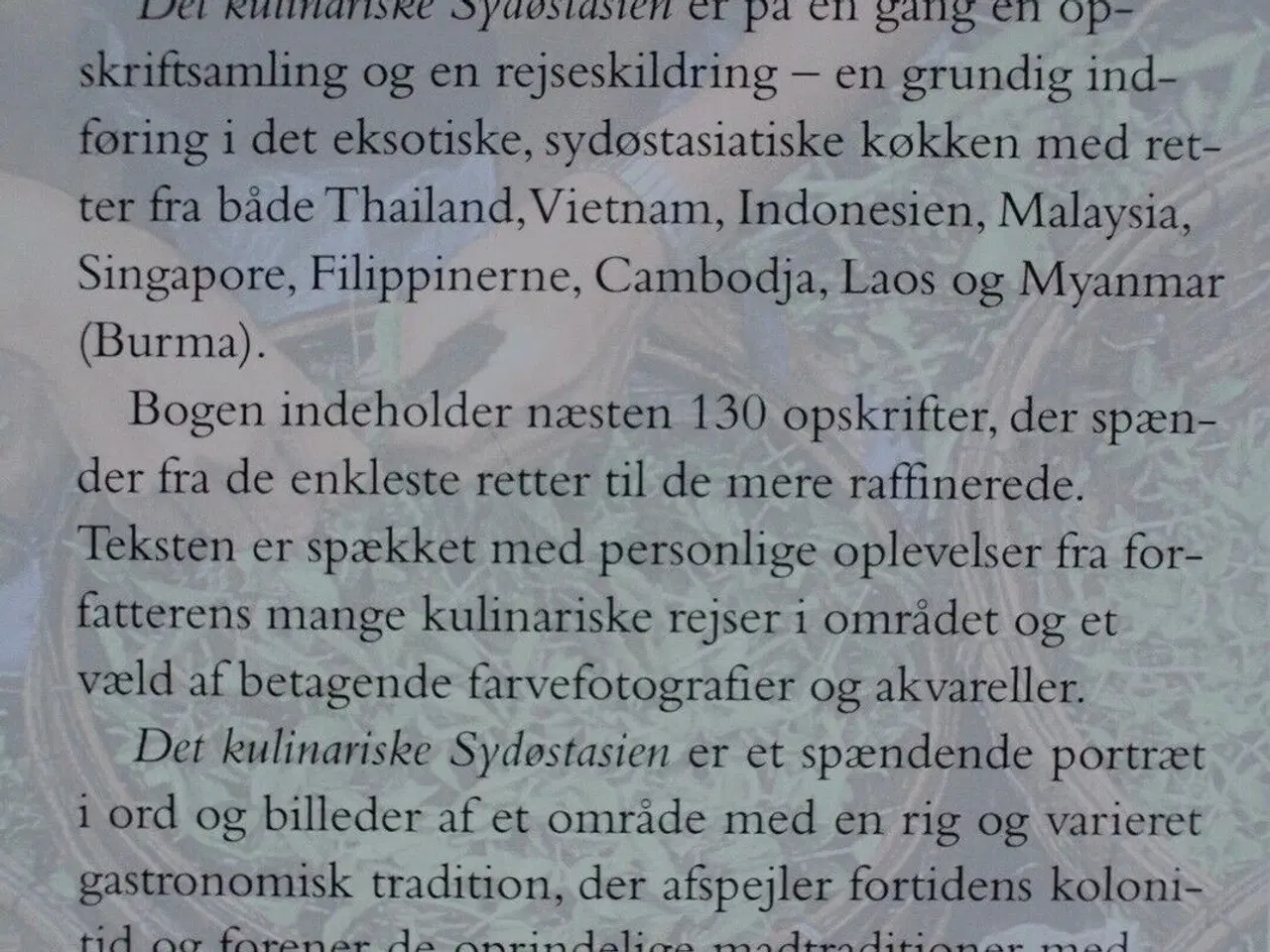 Billede 5 - det kulinariske sydøstasien, af joyce jue. madfoto