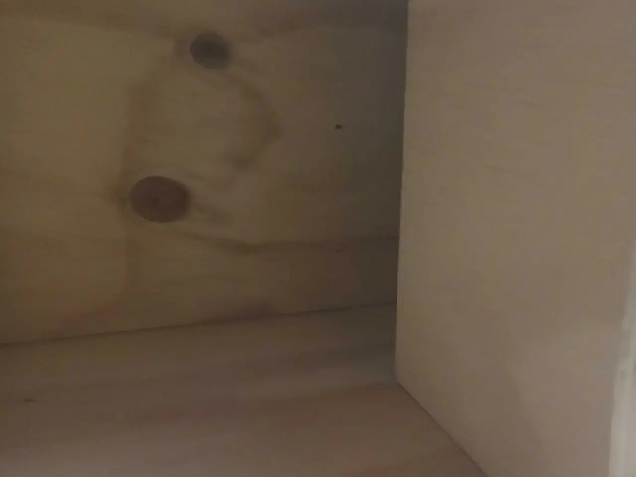 Billede 5 - Slørugle redekasse