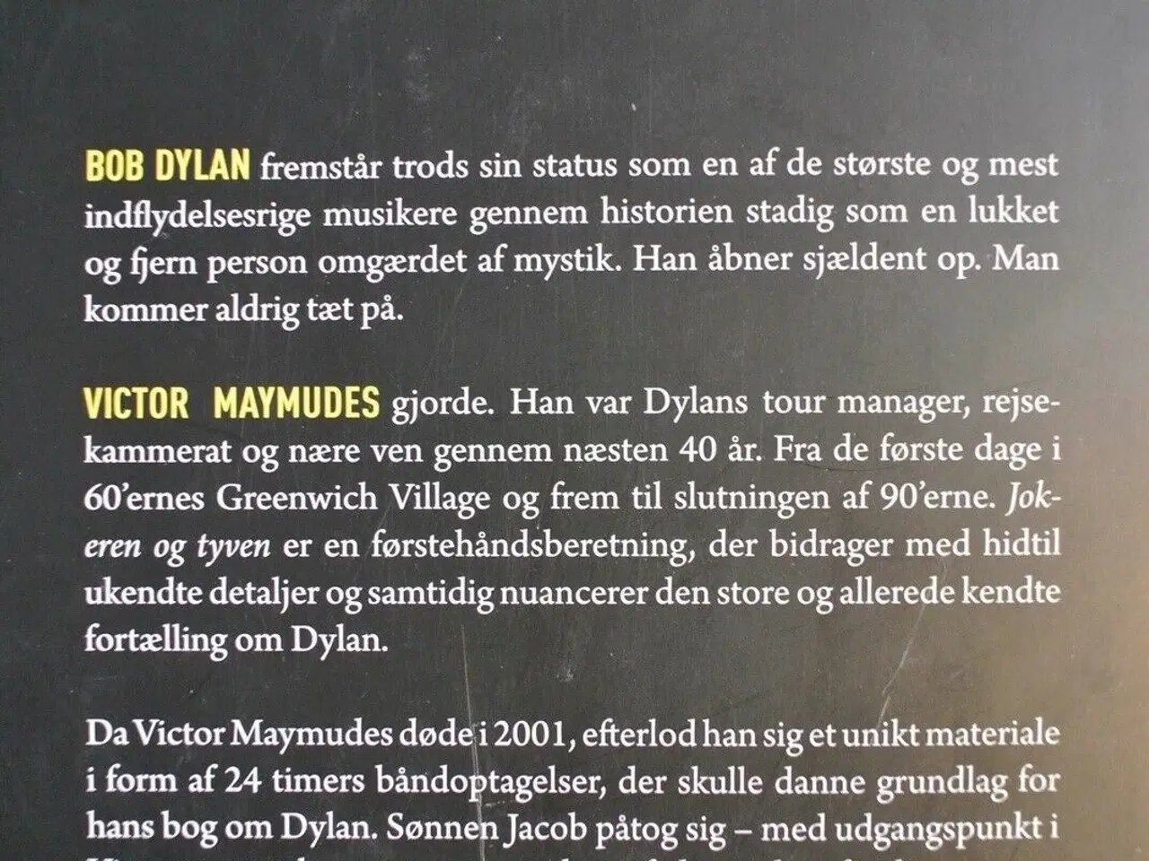 Billede 3 - jokeren og tyven - mit liv med bob dylan, af victo