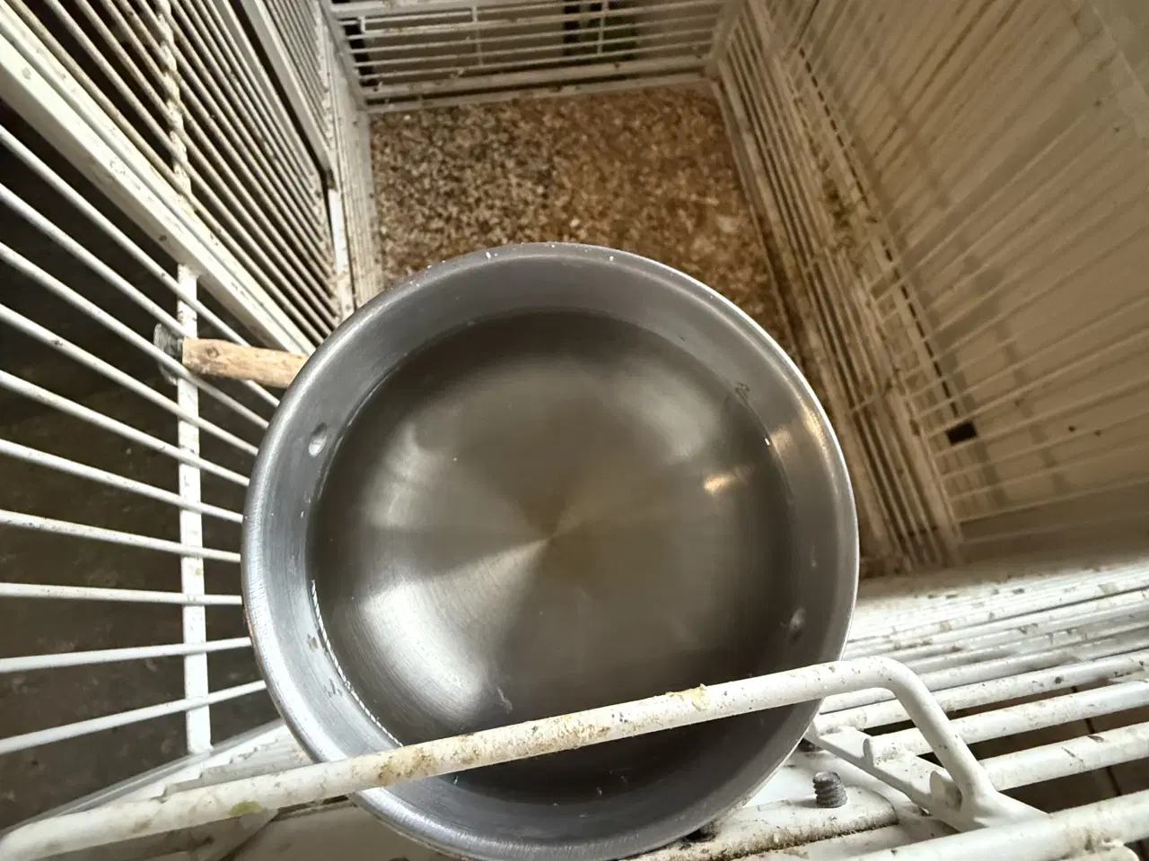 Billede 2 - Papegøje bur