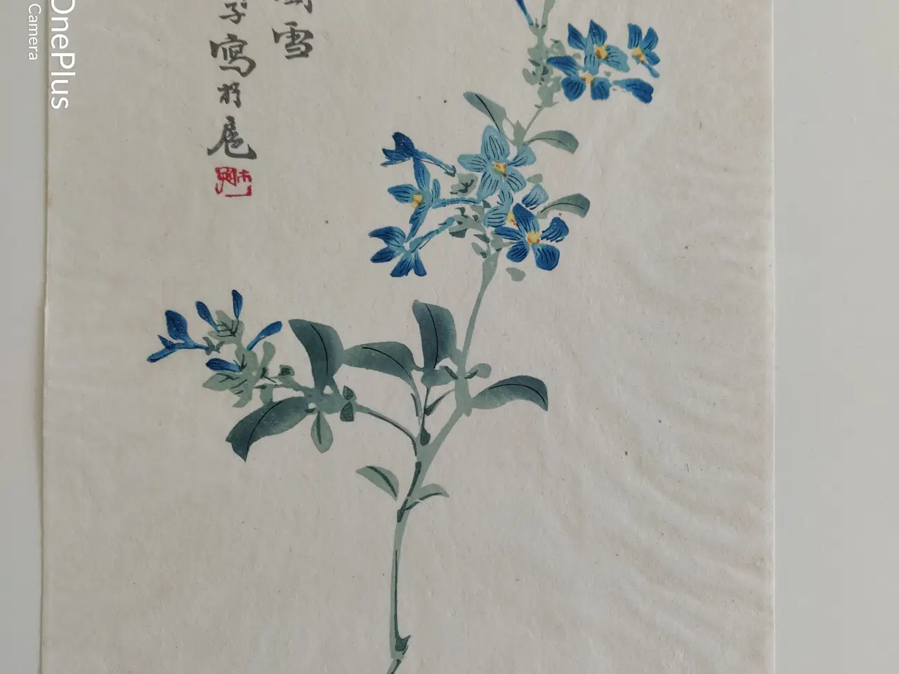 Billede 3 - blomster illustrationer, gl. kinesiske