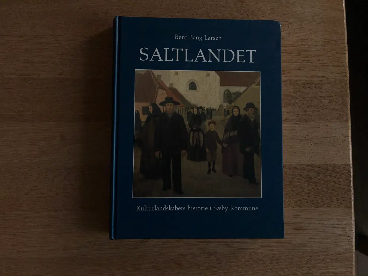 Billede 1 - SALTLANDET  - Kulturlandskabets historie i Sæby Ko