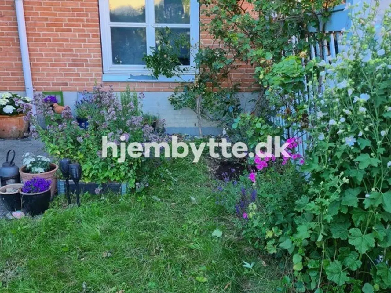 Billede 1 - Hjembytte - Meinungsgade