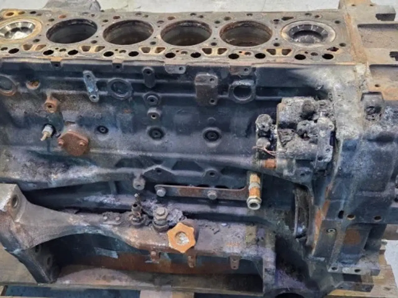 Billede 7 - Iveco F4DGE617D*V007 Motor 51485058