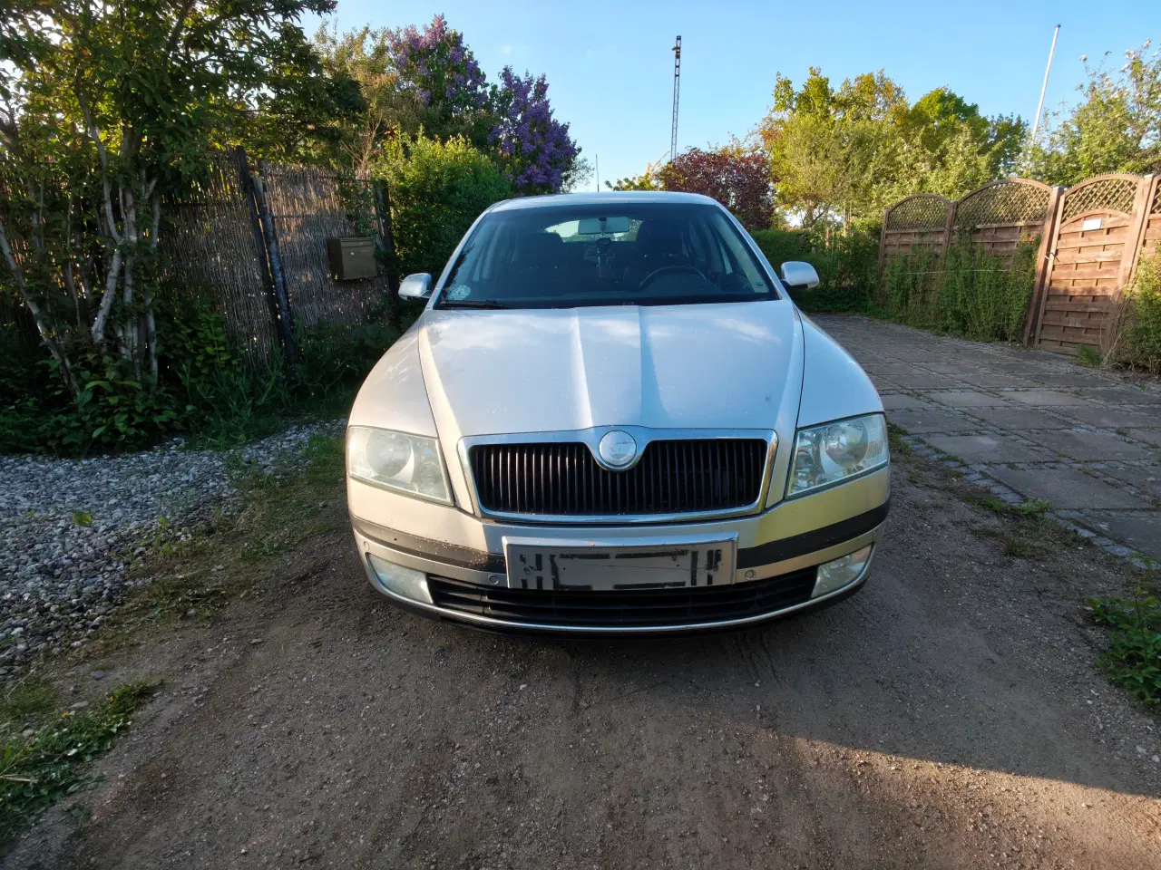 Billede 3 - Økonomisk og velkørende Skoda Octavia 2.0 TDI med