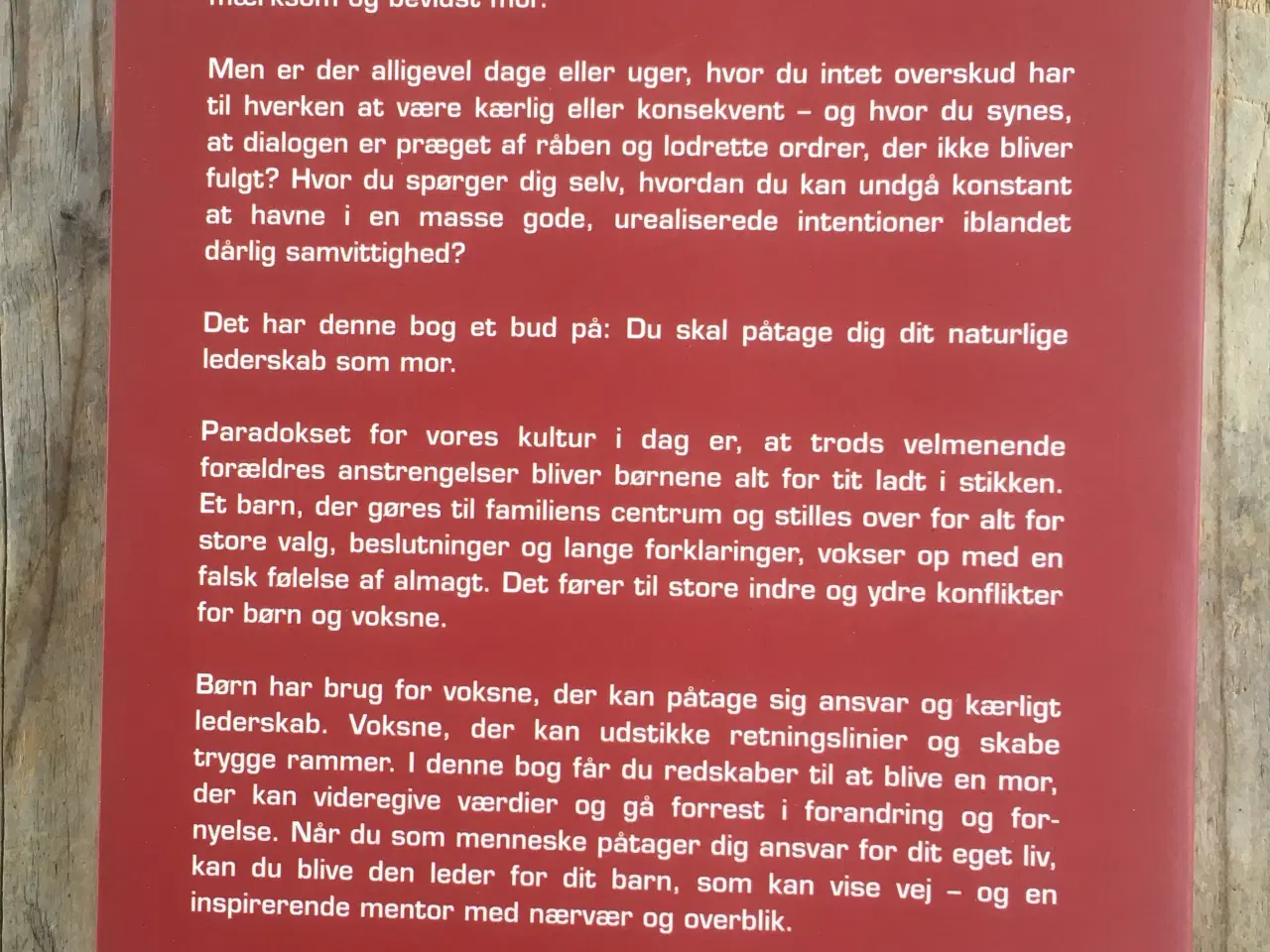 Billede 2 - Moderskab - lederskab, Emilia van Hauen