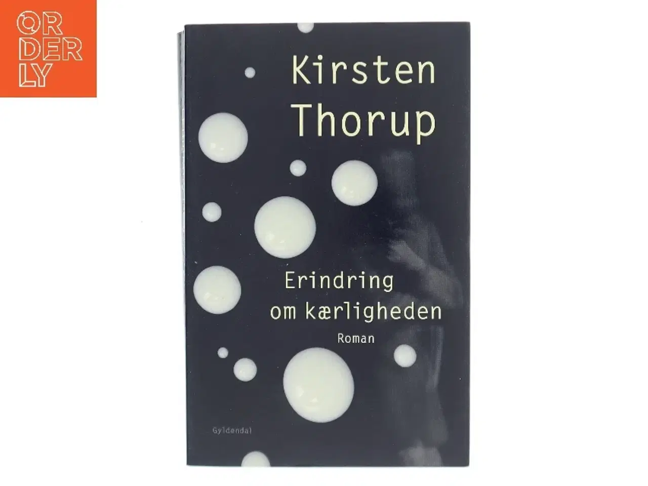 Billede 1 - Erindring om kærligheden : roman af Kirsten Thorup (Bog)