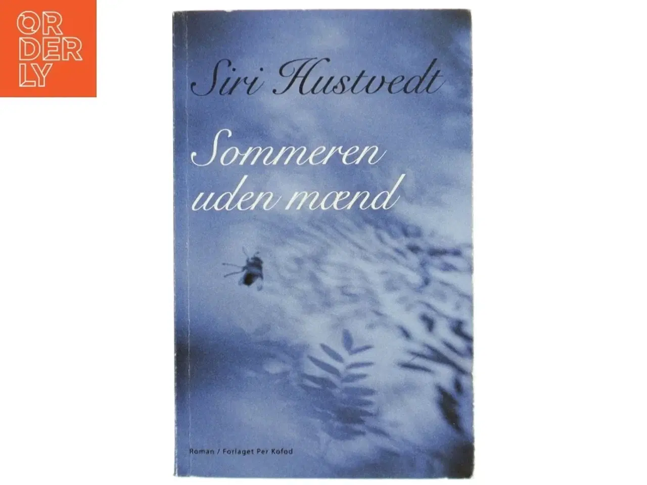 Billede 1 - Sommeren uden mænd : roman af Siri Hustvedt (Bog)