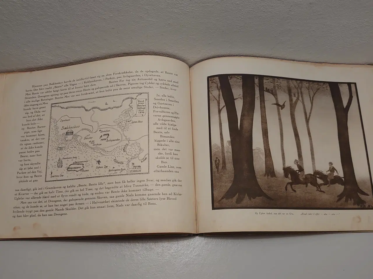 Billede 7 - Suzanne Lassen: Bentes Fuglebog. 1. udg. 1932.