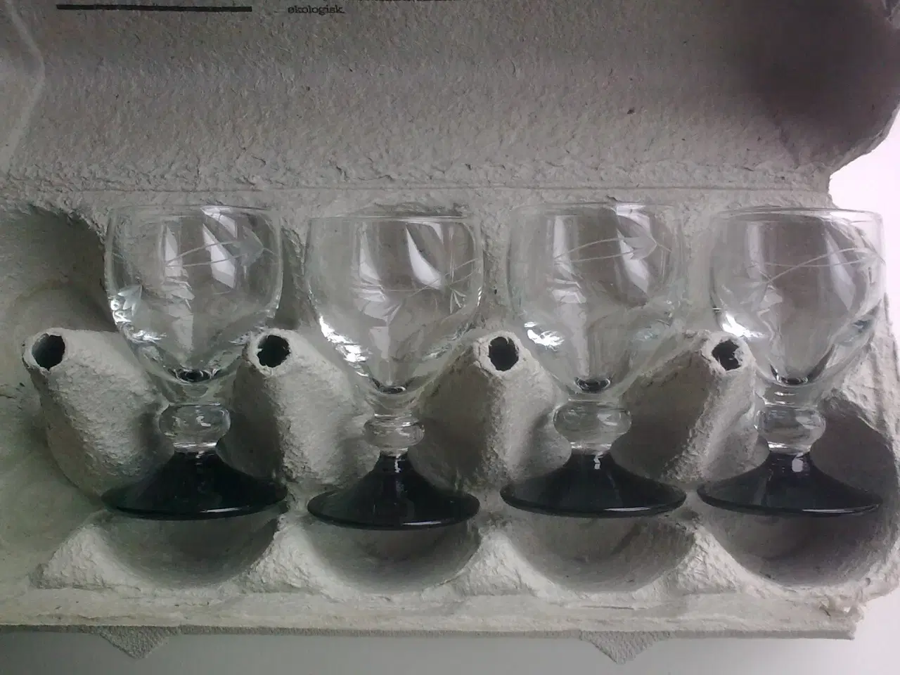 Billede 6 - Sort fod er ikke kun en spansk skinke...