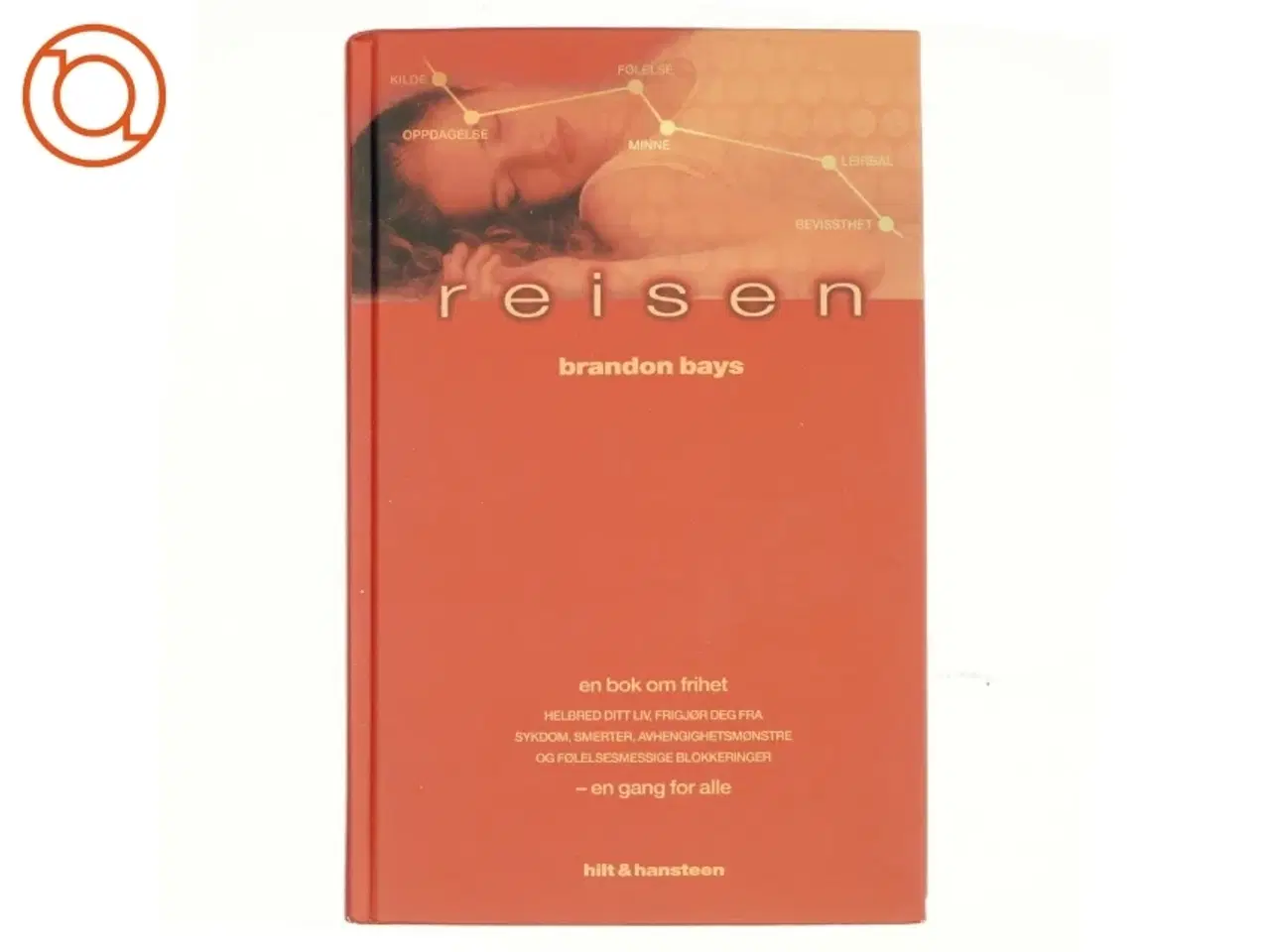 Billede 1 - Reisen af Brandon Bays (Bog) Norsk