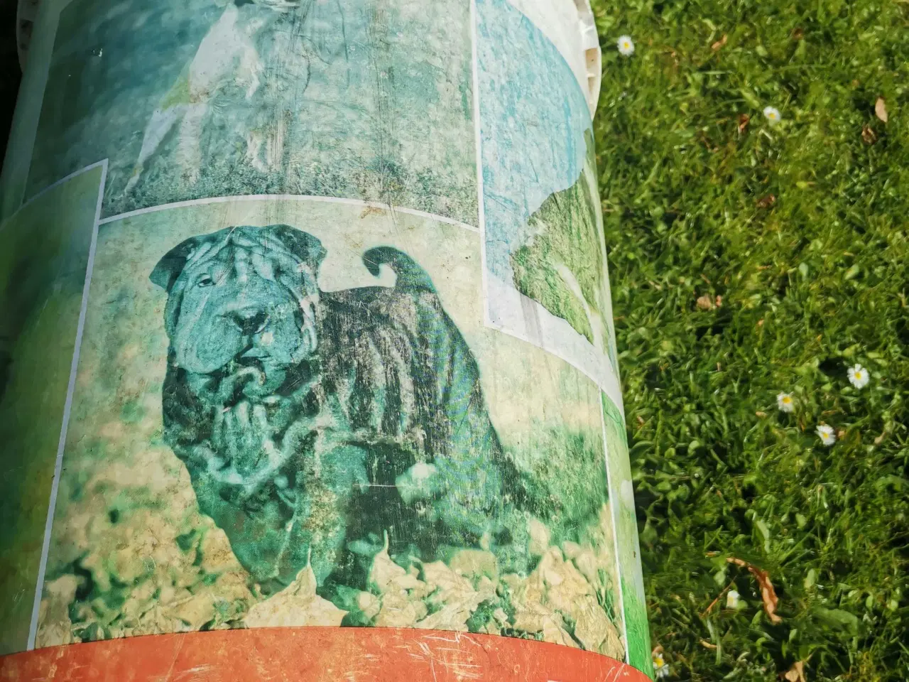 Billede 5 - Royal Canin Stor spand 4 kr