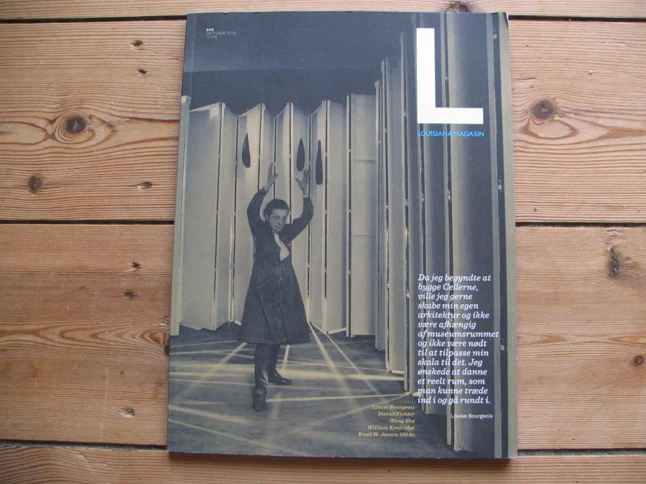 Billede 1 - Louise Bourgeois (1911-2010) m.fl. 