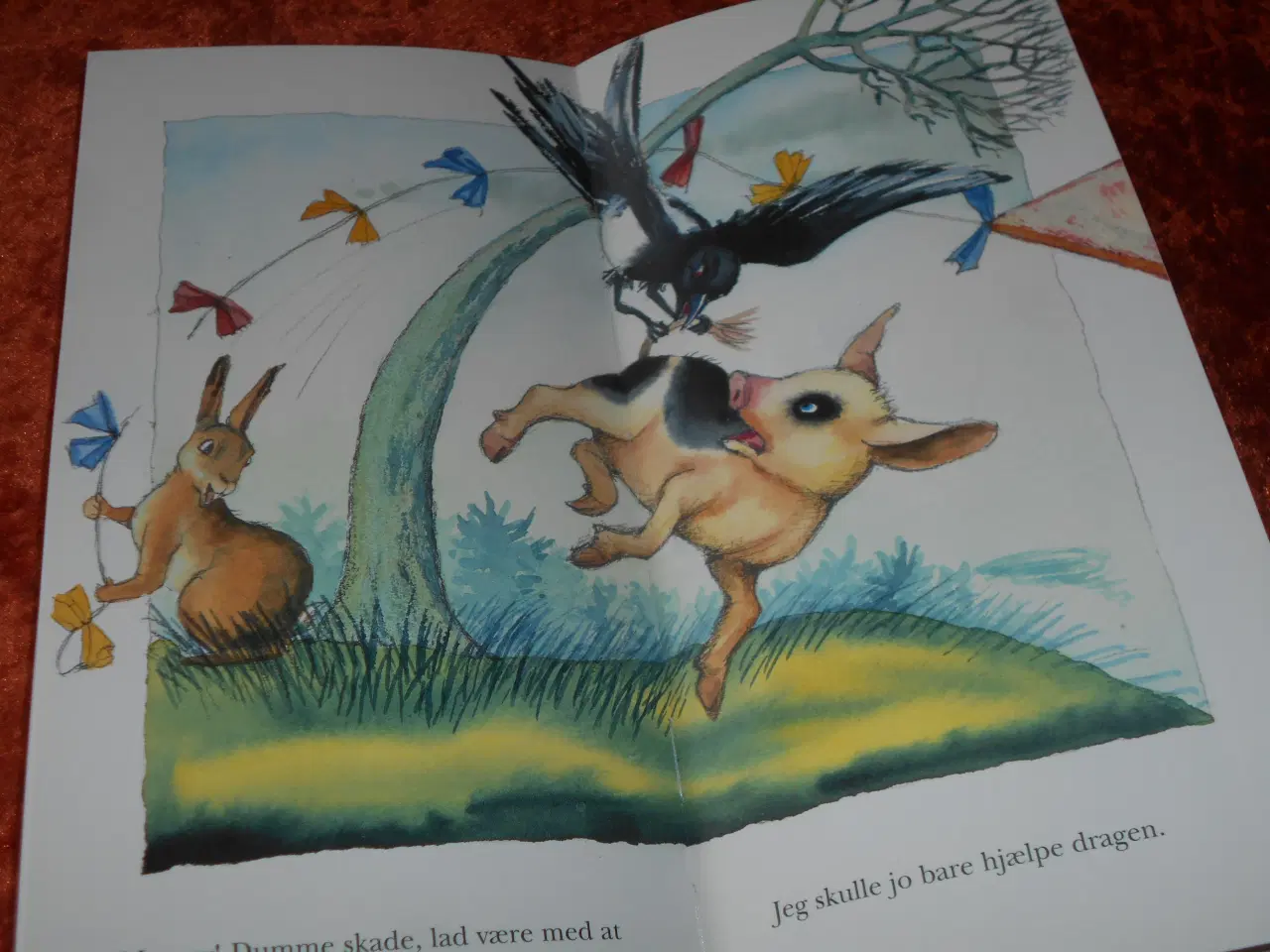 Billede 5 - Hvirvelvinden,  Birde Poulsen