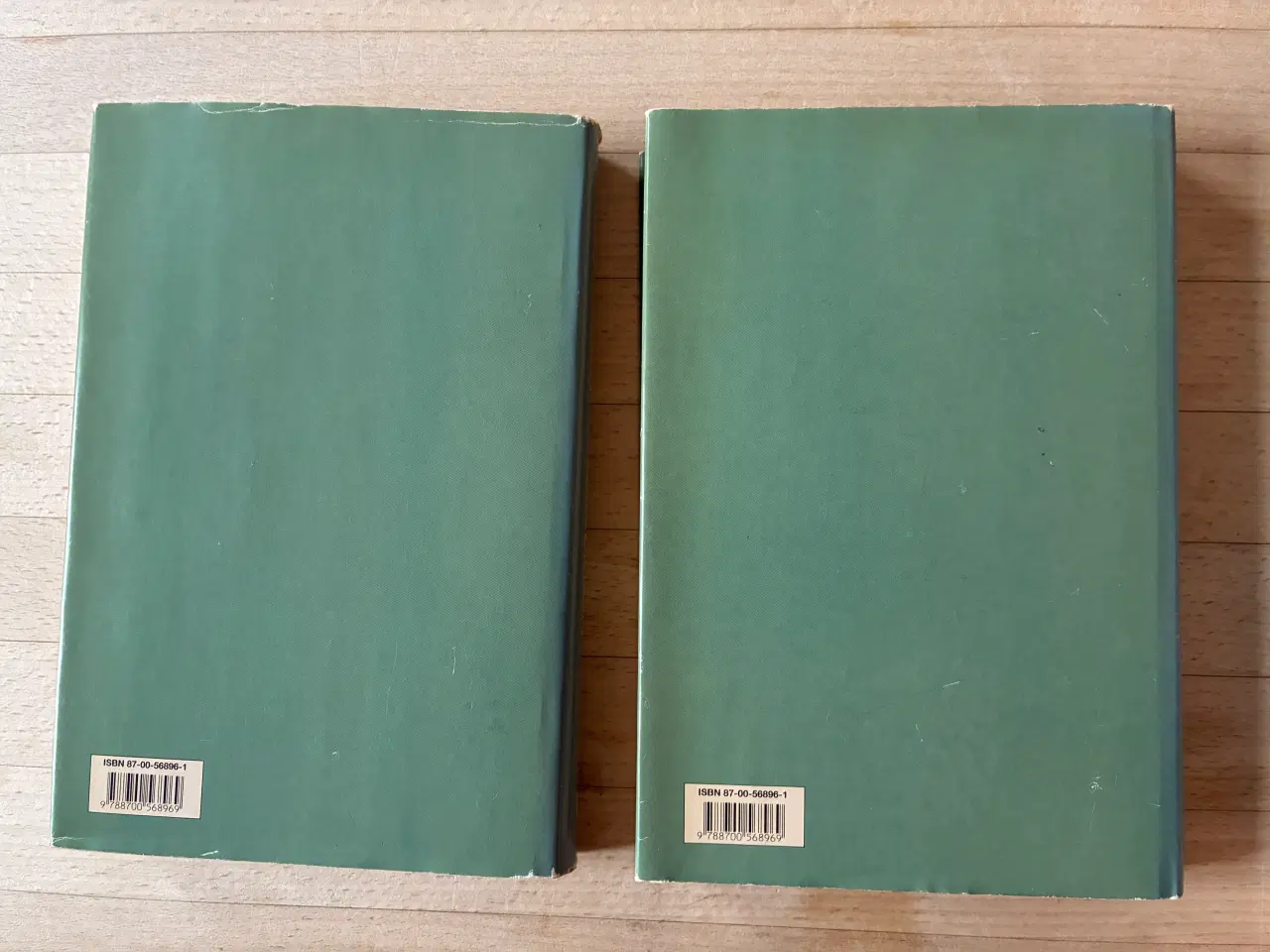 Billede 2 - Helbrederen i to bind, Noah Gordon